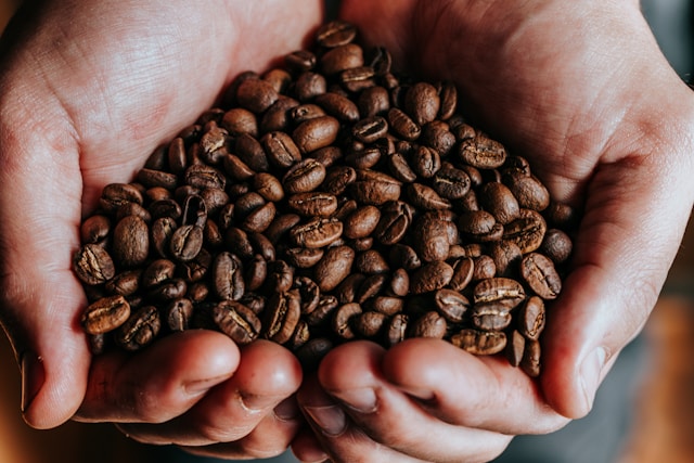 Hands holding coffee beans